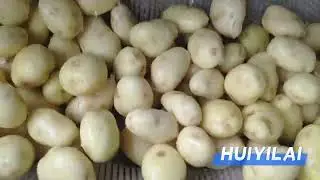 How to wash and peel potatoes quickly  #potatopeeler #washer #ssengrindia