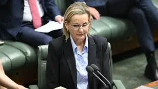 Liberal MPs rule out Sussan Ley leadership spill