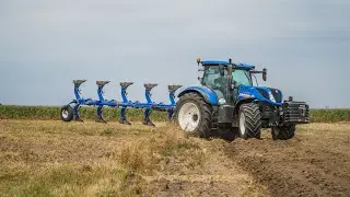Orka Pod Rzepak 2020 || New Holland T7.230 || New Holland PH-V