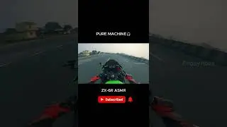 M4 GP16 Exhaust ASMR for Riders #motorcycle #kawasaki #zx10r #sportbike #racing #ninjazx14r #zx6r
