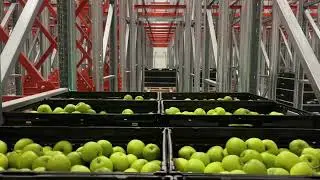 The Future of Warehouse Scalability with E4SHUTTLE: the 4-Way Pallet Shuttle by Eurofork&reg;