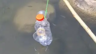 Ingenious Fish Trap: Plastic Bottle Filled with Fish || WooGlobe
