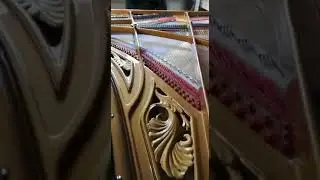 Ibach Concert Grand, Klinkenberg Pianoforte