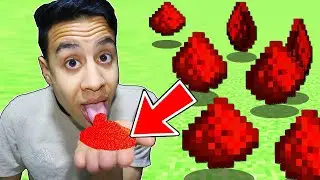 اختبار طعام ماين كرافت في الحياة الحقيقية (جربت الردستون) !!؟ 😱🔥مستحيل