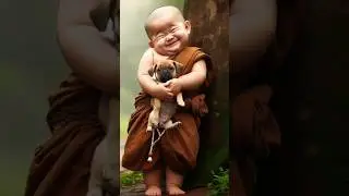 Cute Little Monk | Little monk Status | Monk Baby Video | #monk #cute #baby #videos #status