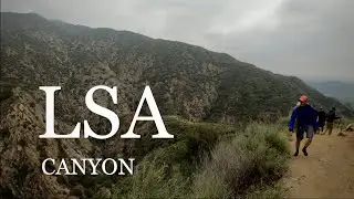 Little Santa Anita Canyon (Sierra Madre, CA)