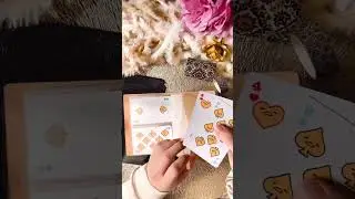 Discover Personalized Elegance: Custom Passport Journals with Exclusive Washi & Stickers