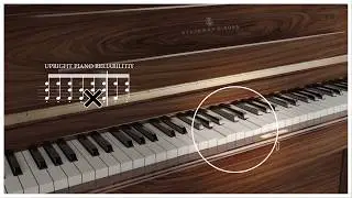 New Steinway Upright Action