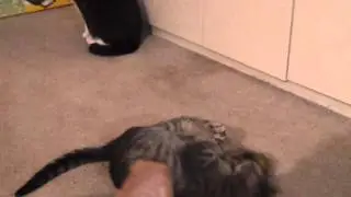 Chico 042712