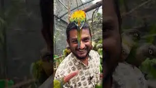 New Aviary at Prani 🐦✨ Welcome the Rescued Birds | Prani Sanctuary Tour