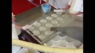 Prom country cheese and their new dairy in action in Australia