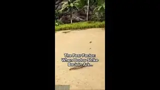 The Fear Factor  When Dodos Strike Back in Ark Survival