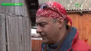 Natură şi aventură - Câini de sanie în România