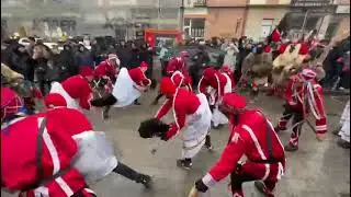 Caiutii din Buda-Zvoristea 2024-2025 ❄️❤️