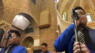 Los peses en el rio