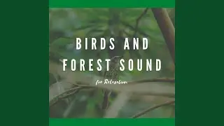 Melodious Songbird Sounds