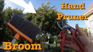How to Prune Crepe Myrtles with Broom and Hand Pruners