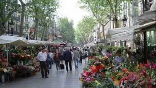 Barcelona t'estimo, 