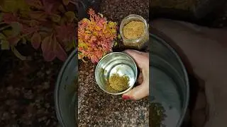 Methi Khane Ke Fayde #Shorts #Viral #Youtube Shorts 👌#Latest Tips #New Kitchen Tips