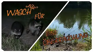Wasch für eine Überraschung