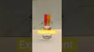 😳 oru experiment കണ്ടാലോ 👍#shorts #shortsfeed #experiment #diy #fun