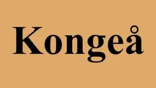 Konge&aring;