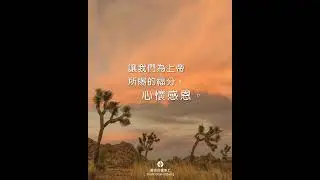 2026年1月11日 心懷感恩 | 靈命日糧 2026年1月