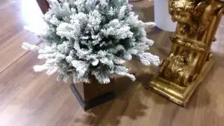 Centro NAVIDAD