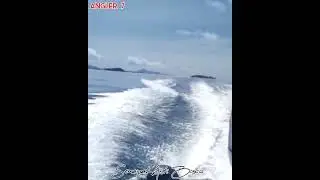 SPEED BOAT‼️ISLANDER'S FERRARI #shorts #angler #ferrari #ducati #sea #popular #viral #speedboat #wow
