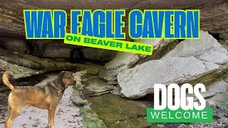 Guided War Eagle Cavern Tour by a Country Storyteller/Dog-Friendly and Informative
