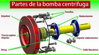 Bombas centrifugas▶️✅Bombas centrifugas tipos▶️Partes de la bomba centrifuga.