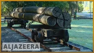 🇦🇺 Habitat loss: Australia's endangered wildlife in peril | Al Jazeera English