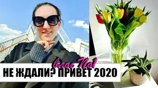 ВЛОГ 2020 | КАРАНТИН 🇬🇧 КУДА Я ПРОПАЛА | РЕЦЕПТ ВКУСНЕЙШИХ БЛИНОВ | ТЕСТО БЕЗ КОМОЧКОВ