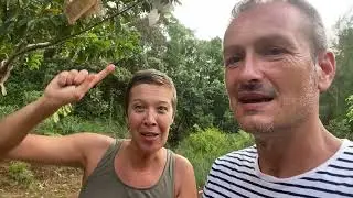 Un fruit moche mais trop bon : le Kwai Muk