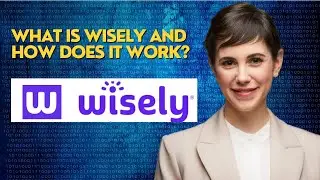 What is Wisely and how does it work?