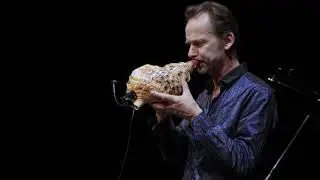 Improvisation on seashell horn and analogue synthesizer by Marco Blaauw