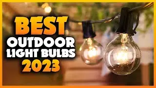Top 5 Best Outdoor Light Bulbs You can Buy Right Now [2024]