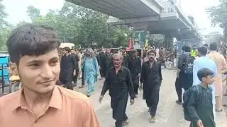 Arbaeen walk live 3 #arbaeen #mashi #amanwalk #azadaricollection #lahore 