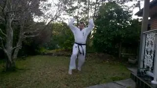 Chatan Yara no Sai - Ryukonkai Aust. Branch