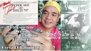 Peter see line cross Taiwan Gold line,produced many champion!