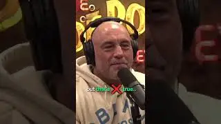 JOE ROGAN and his OPINION on FAT models 🤔😮 #shorts #joerogan #jre #davidgoggins