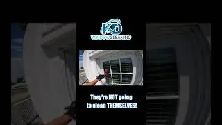 Water-Fed Window Cleaning #shorts #windowcleaning