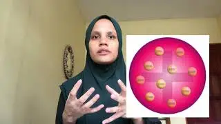 ATOMIC THEORY : HISTORY OF ATOM
