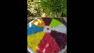 دحدح فلسطيني بالقرفه وجوز الهند بأسهل طريقه