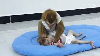 Queen Mori Caring Zuji Sleep & Taking A Nap Together