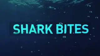 Special for #SharkWeek: The Goblin Shark!