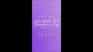 Instagram Remembrance Day Video 2024
