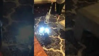 Dog attacking vacuum