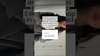 Untapped Market Success: Building a &pound;4K/Month Niche Product Store
