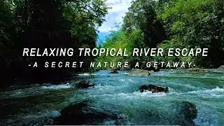 Relaxing Tropical River Escape &ndash; A Secret Nature Getaway